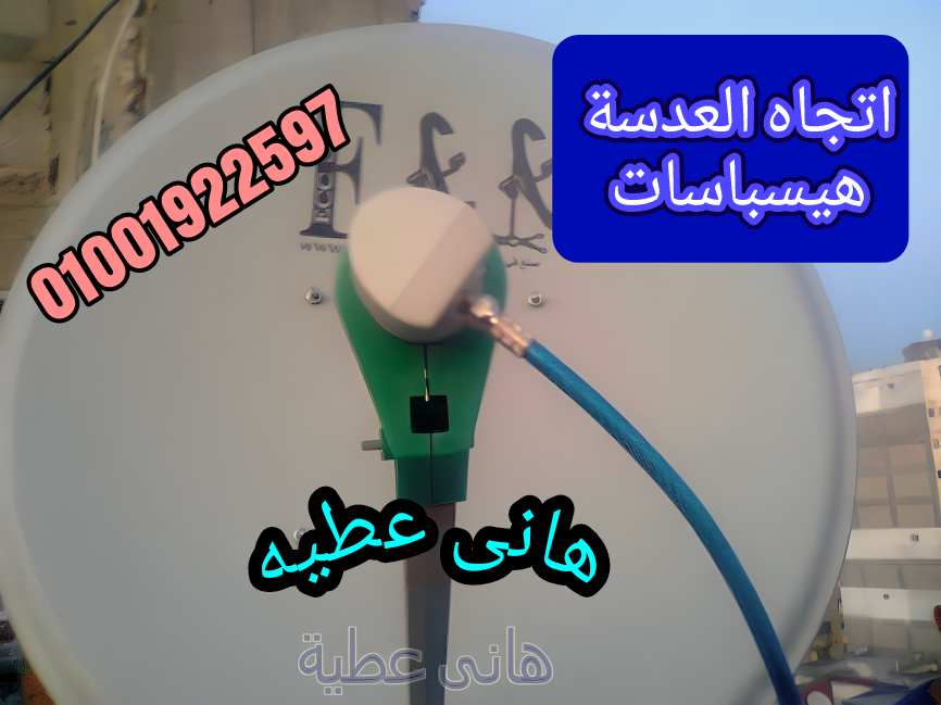 134313329.jpg