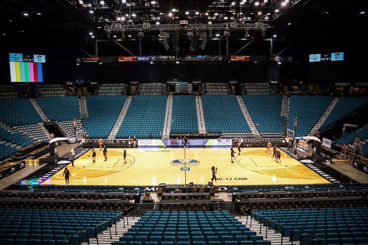 MGM-Grand-Garden-Arena.jpg