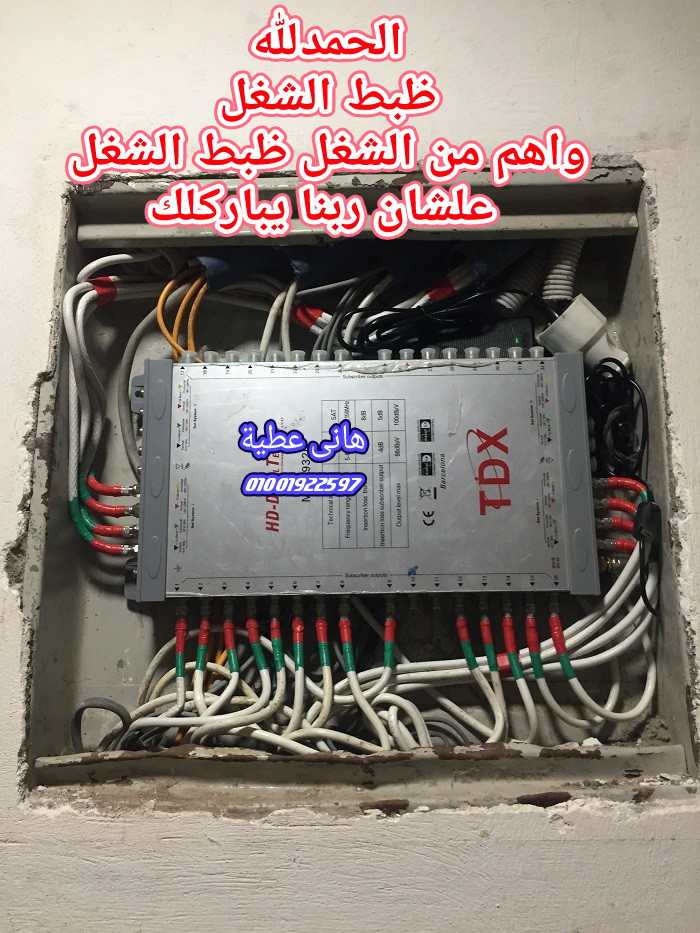 445046325.jpg