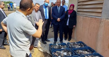رئيس جامعة بنها يشهد حصاد سمك البلطي بالمزارع السمكية في كلية الزراعة.. صور
