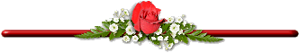 p_1725je2gw3.gif