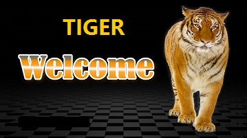 TIGER-LOGO-2-NEW.jpg