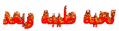 MEHX4W8_o.gif