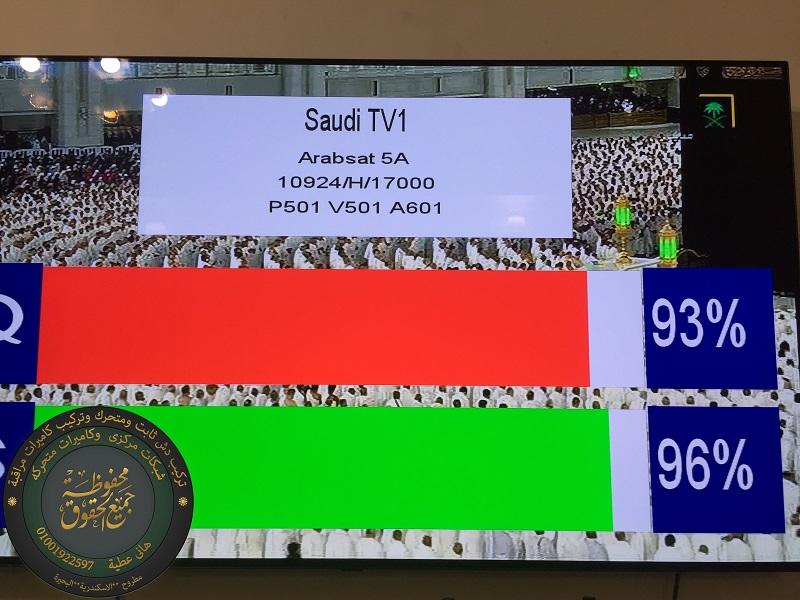 225260950.jpg