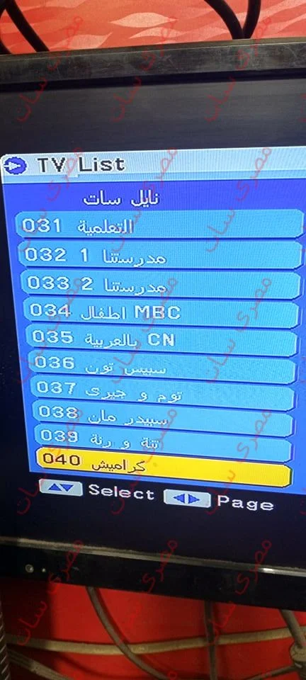 4.jpg