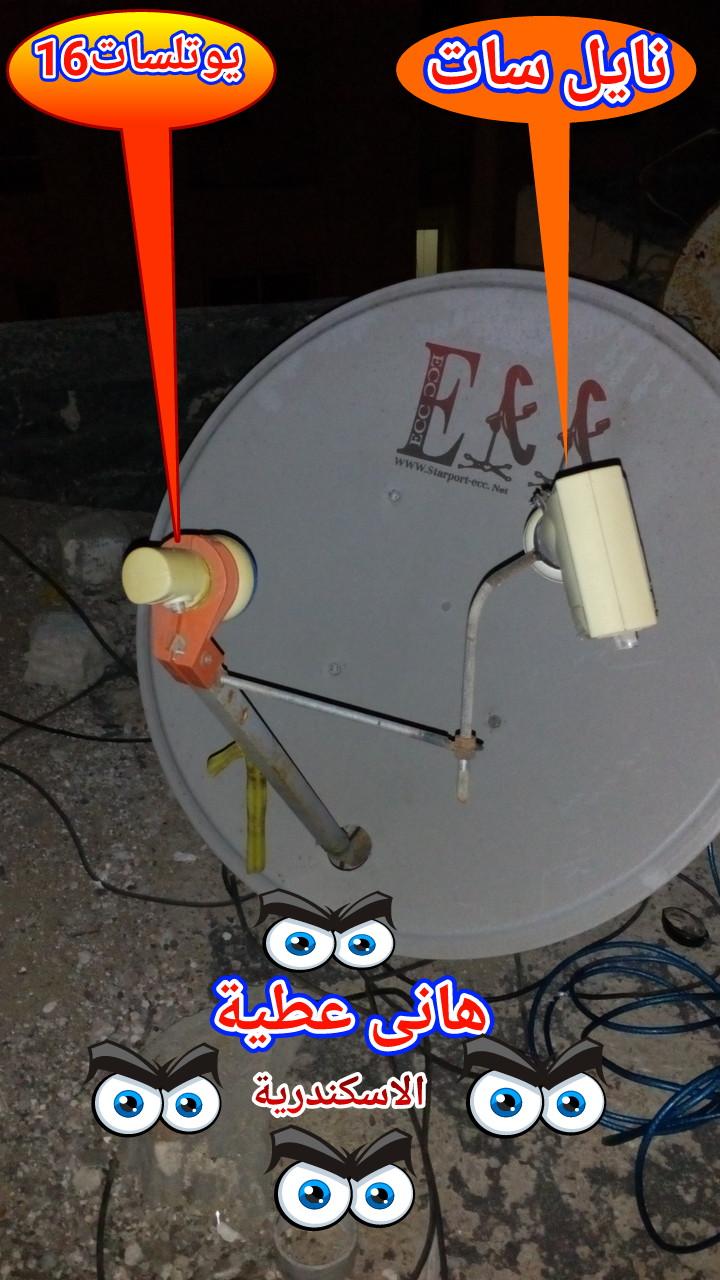 749164593.jpg