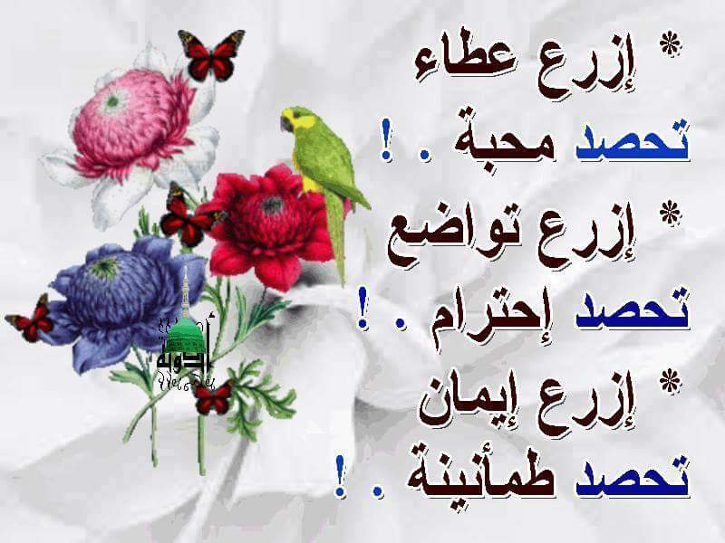CNZgqghU8AAOQ73.jpg