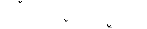 1_01248842536.gif