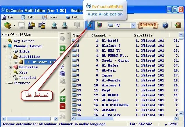 كايرو3.JPG