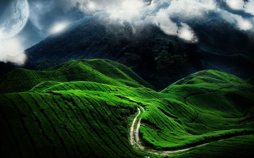 green-natural-1-1024x640.jpg