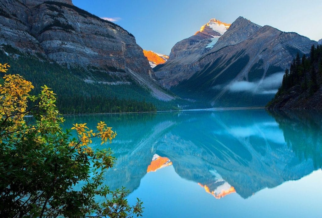 nature-backgrounds-1024x695.jpg