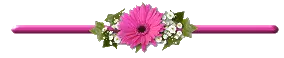 4.gif