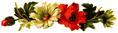 df9.gif