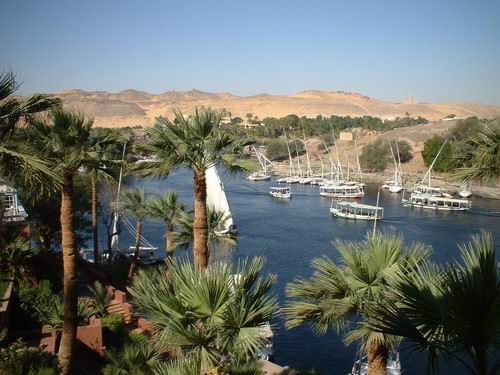 nile10.jpg