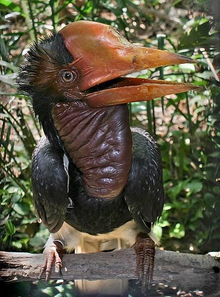 BPUnKAwCEAAf2pF.jpg