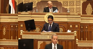 رئيس مجلس الشيوخ يدعو اللجان النوعية للانعقاد لانتخابات هيئات المكاتب