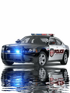 877043446.gif