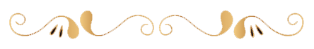 MEHVNGG_o.png