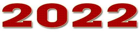20228
