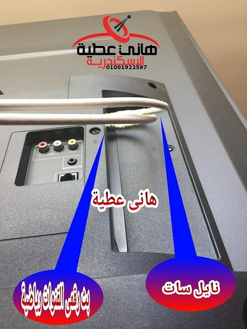 308905192.jpg