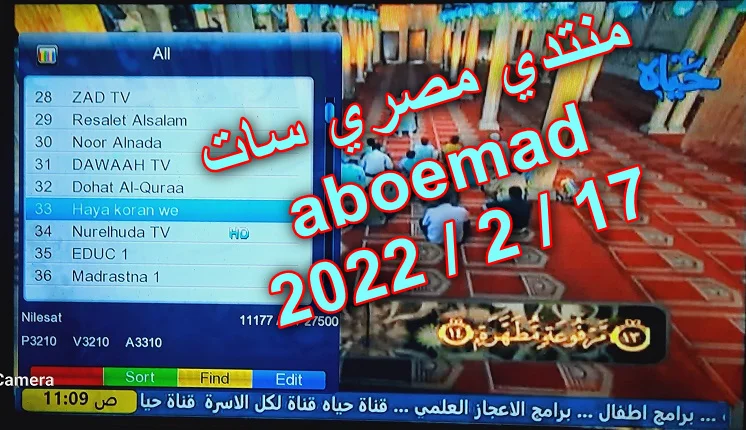 21068