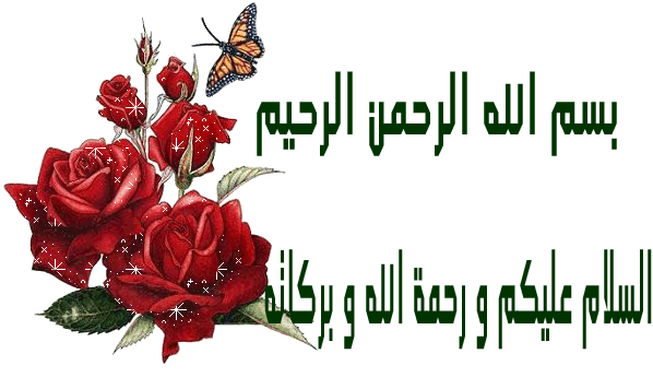 135887_12-794811.GIF