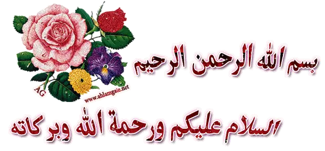14605509461386.webp