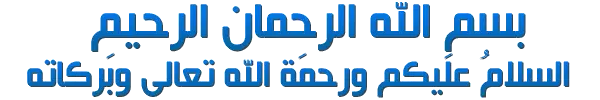 msm.webp