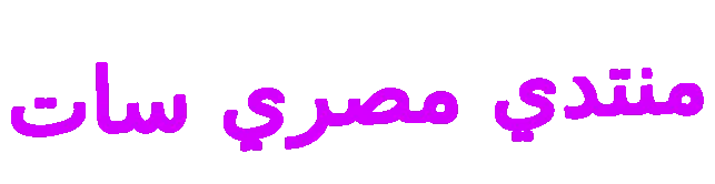 53494