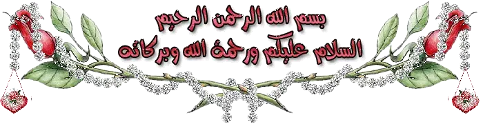 1737018730250.webp