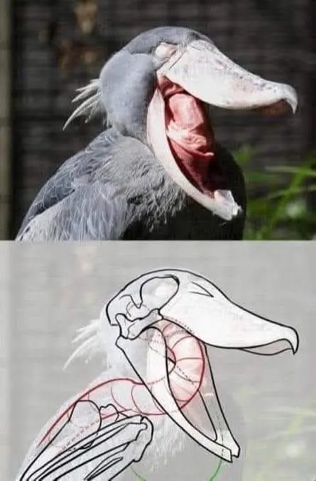 59782