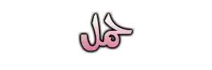 1753901916152.webp