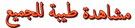 a10.webp
