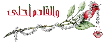gallery_3_2_4182..webp
