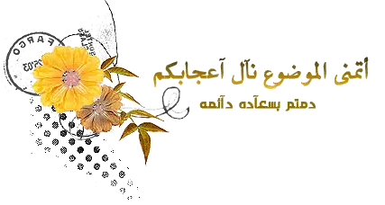 14199510.webp